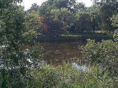 Teich Vierbergen